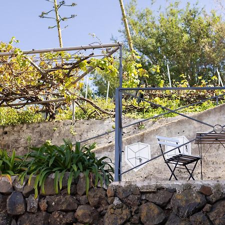 Ek Las Vistas Finca El Milagro 拉奥罗塔瓦 外观 照片