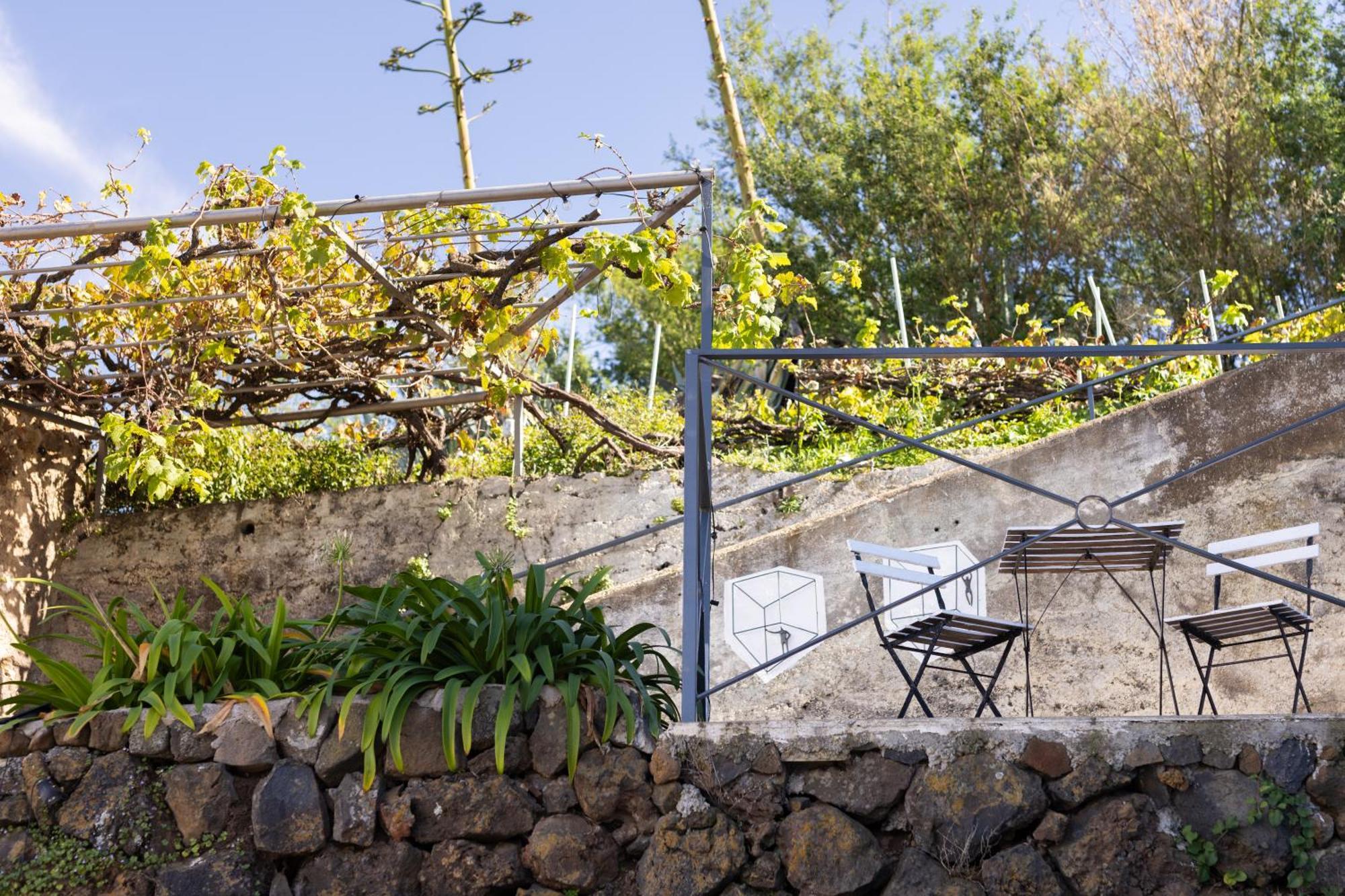 Ek Las Vistas Finca El Milagro 拉奥罗塔瓦 外观 照片