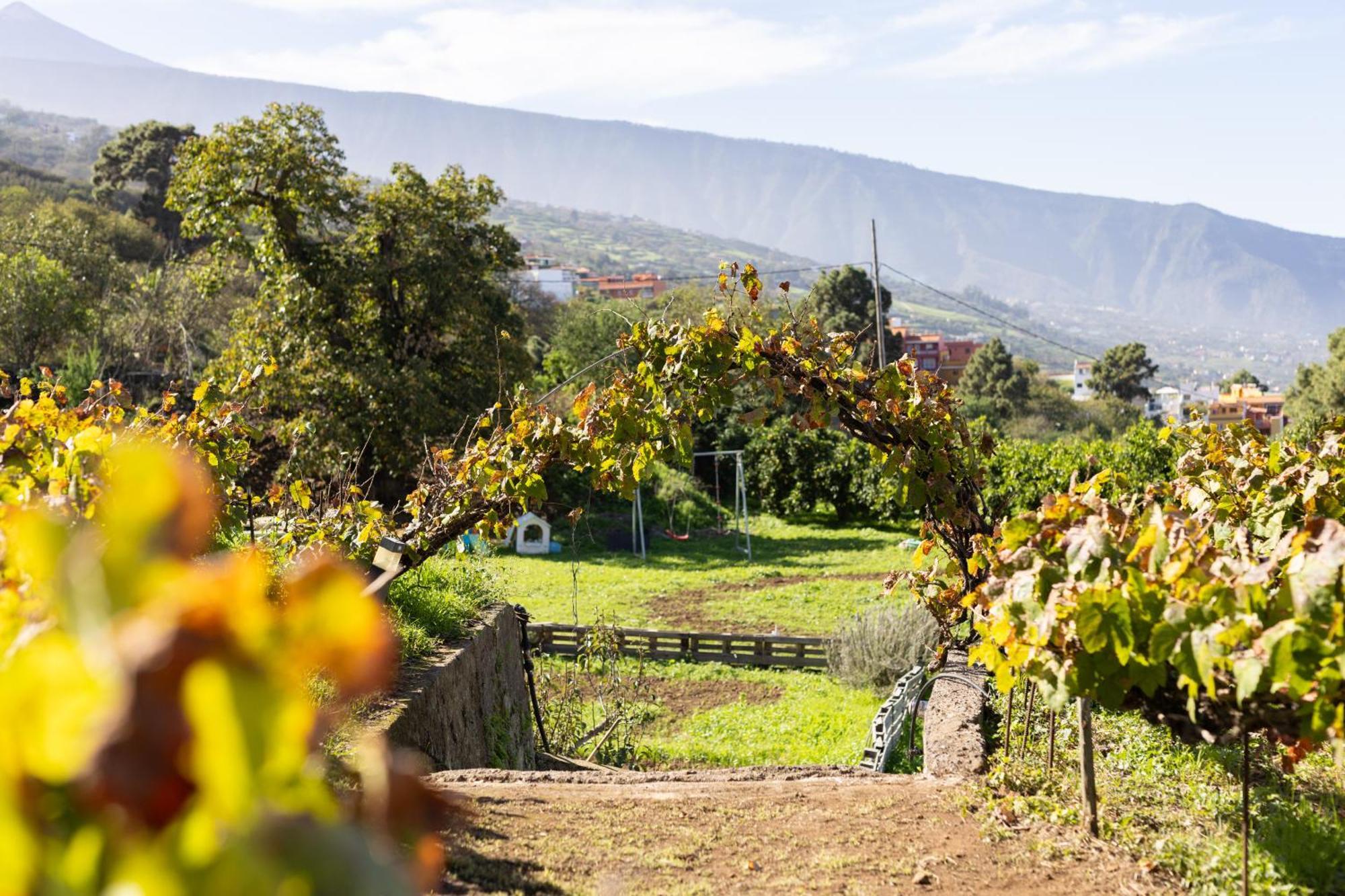 Ek Las Vistas Finca El Milagro 拉奥罗塔瓦 外观 照片