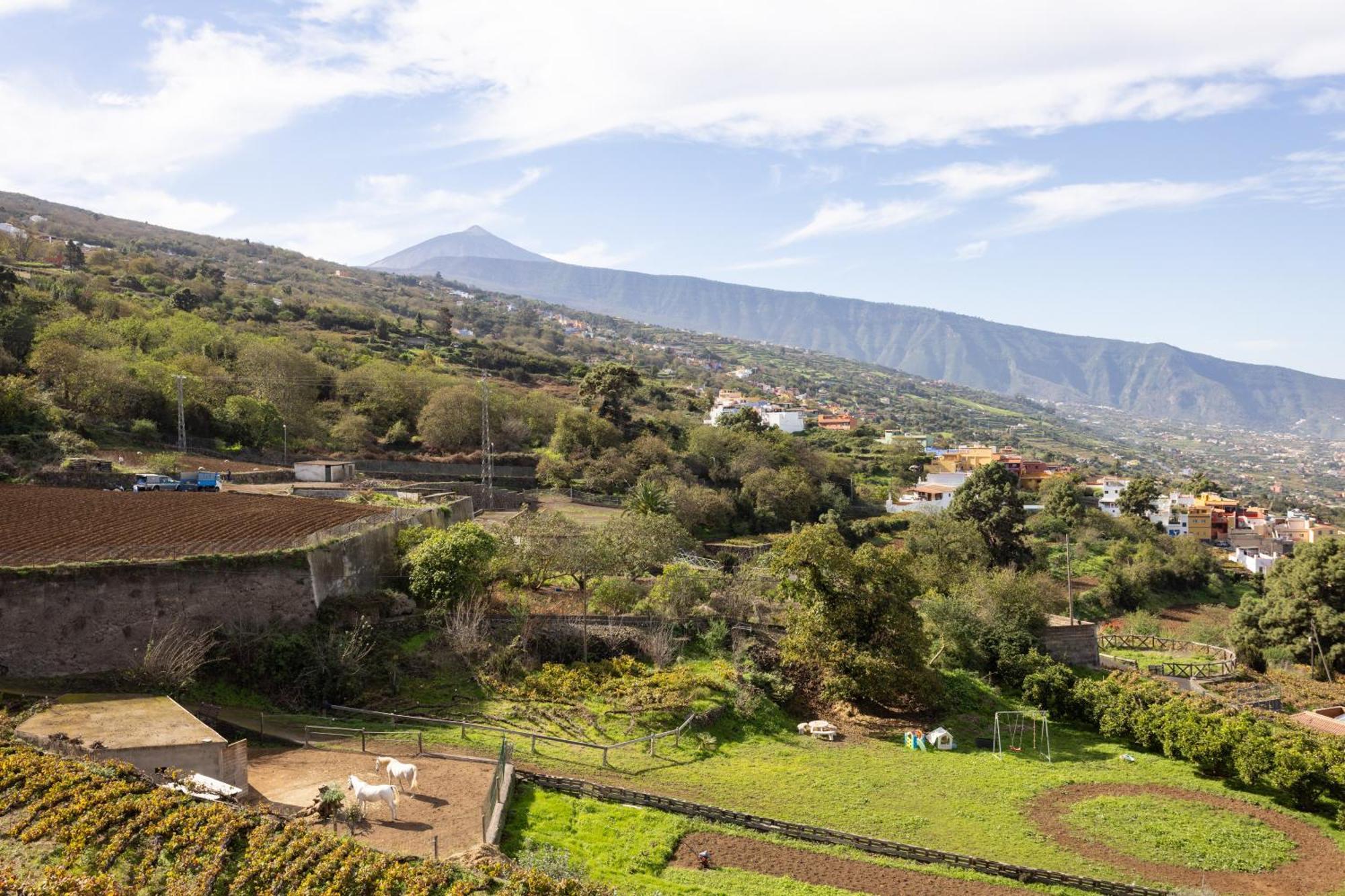 Ek Las Vistas Finca El Milagro 拉奥罗塔瓦 外观 照片