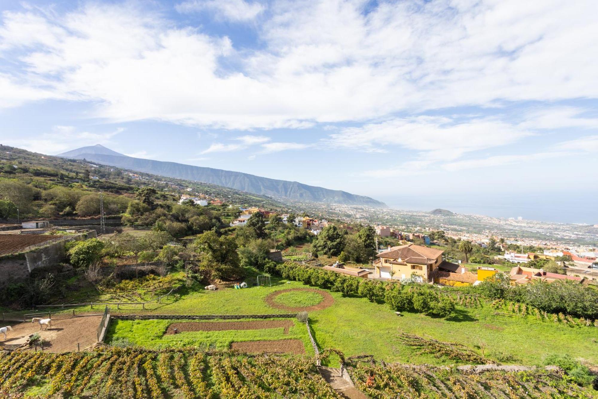 Ek Las Vistas Finca El Milagro 拉奥罗塔瓦 外观 照片