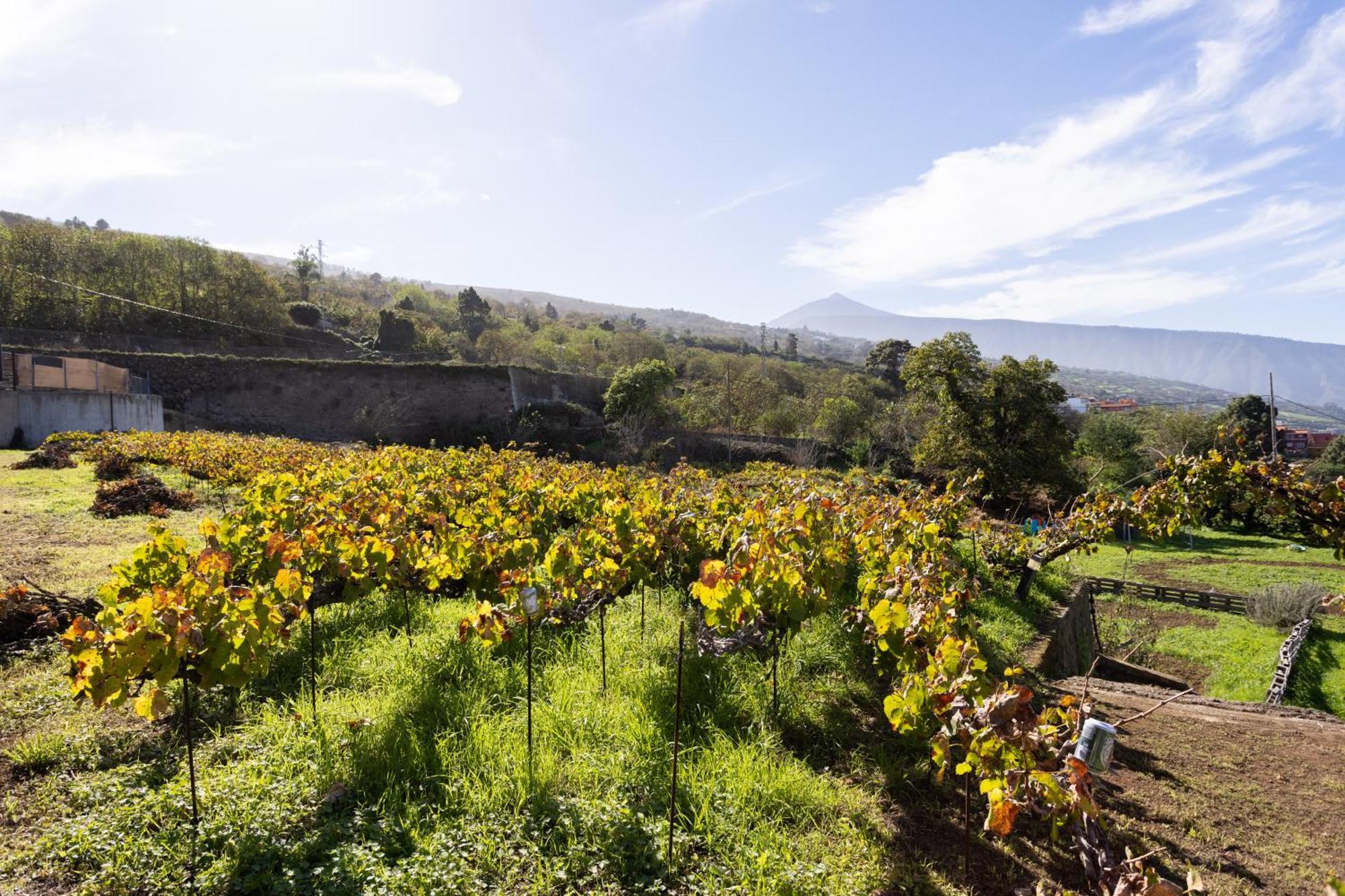 Ek Las Vistas Finca El Milagro 拉奥罗塔瓦 外观 照片