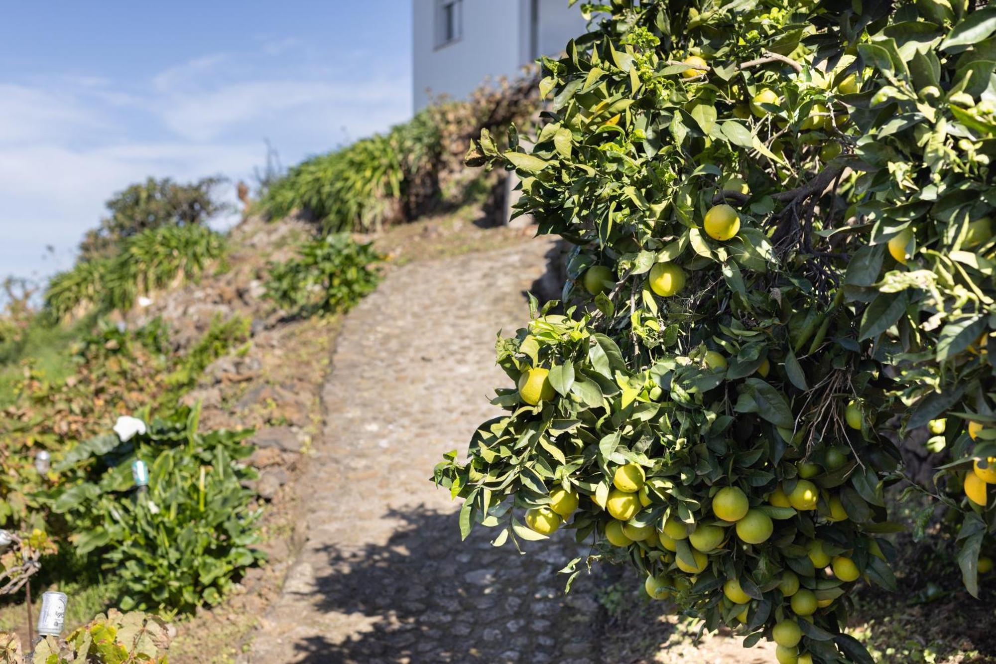 Ek Las Vistas Finca El Milagro 拉奥罗塔瓦 外观 照片