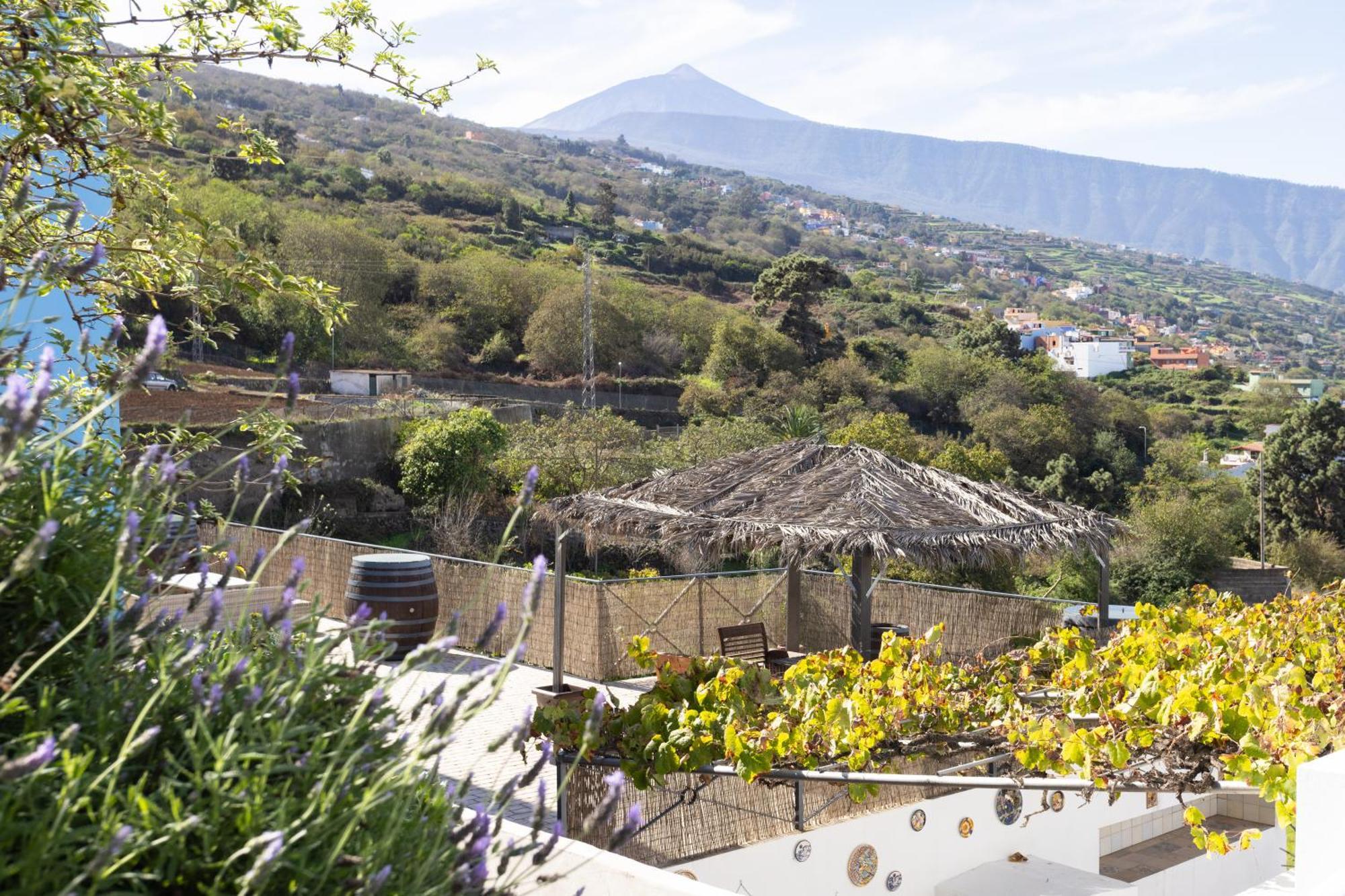 Ek Las Vistas Finca El Milagro 拉奥罗塔瓦 外观 照片
